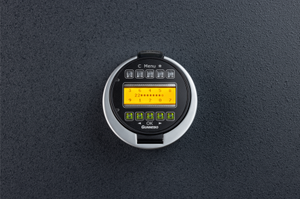 G-Encry-002[web]-20250220174214