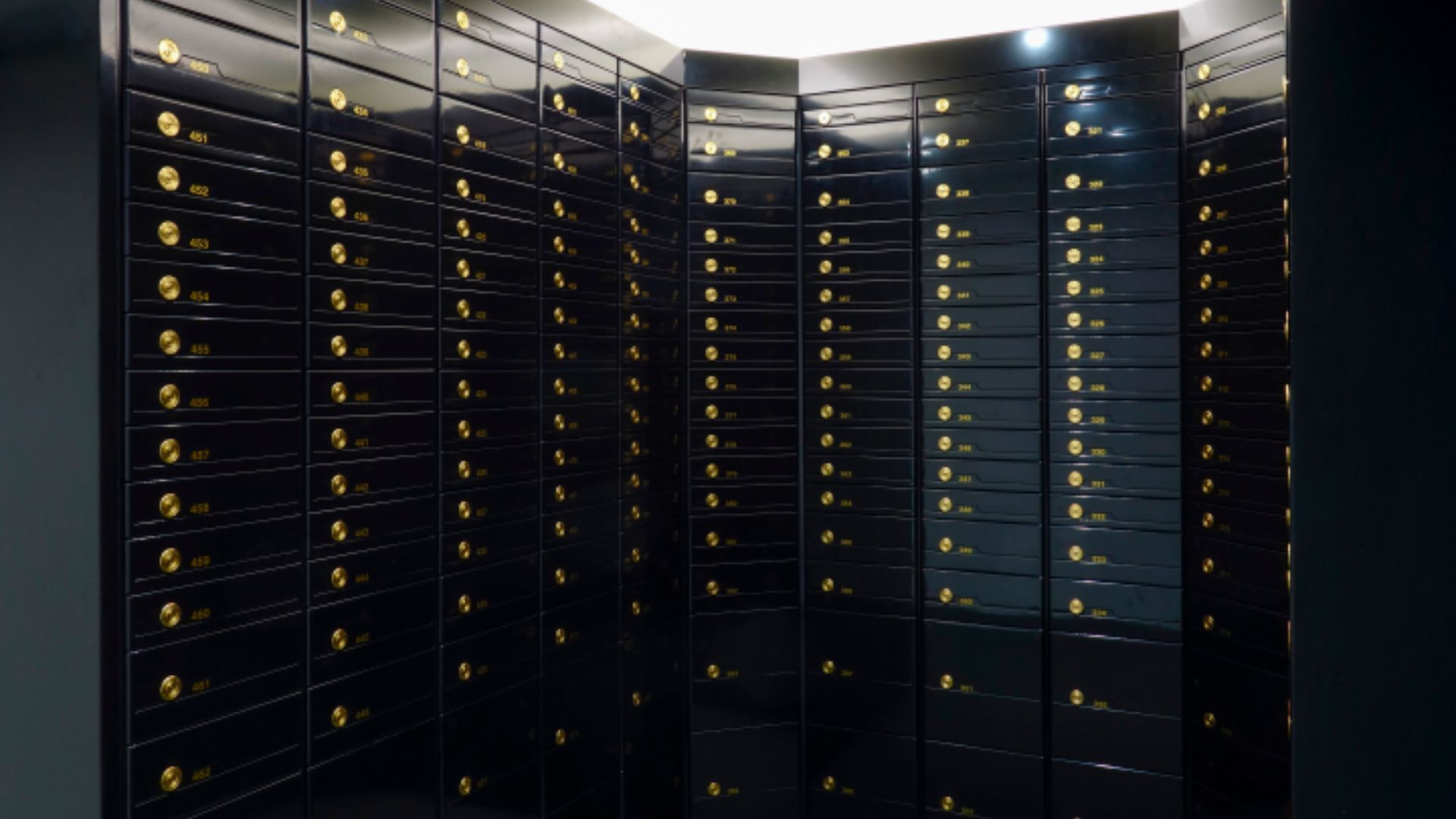 SafeStore2000C